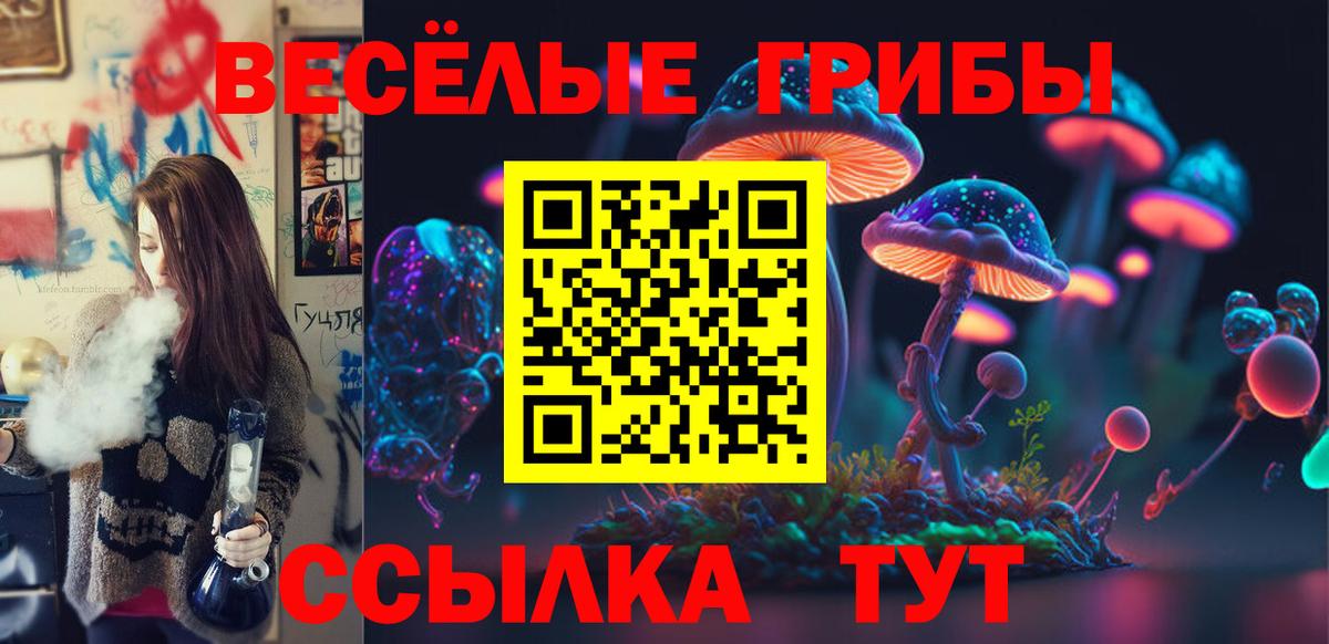 Котлас  Галлюциногенные грибы Cubensis  Вход с VPN 